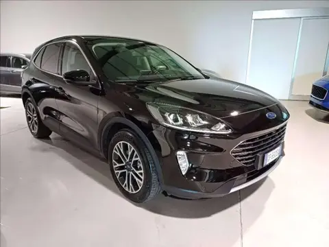 Annonce FORD KUGA Hybride 2021 d'occasion 