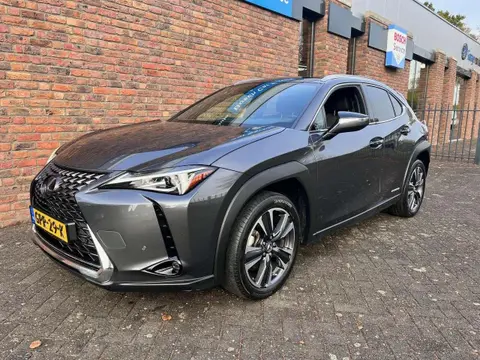 Annonce LEXUS UX Hybride 2021 d'occasion 