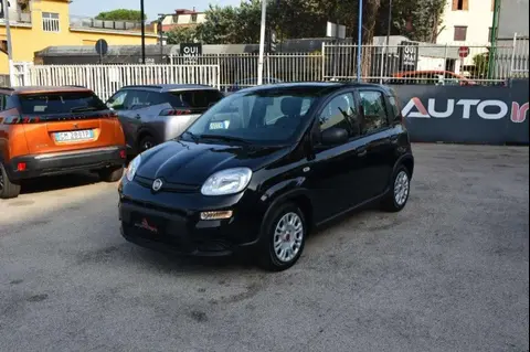 Annonce FIAT PANDA Hybride 2023 d'occasion 