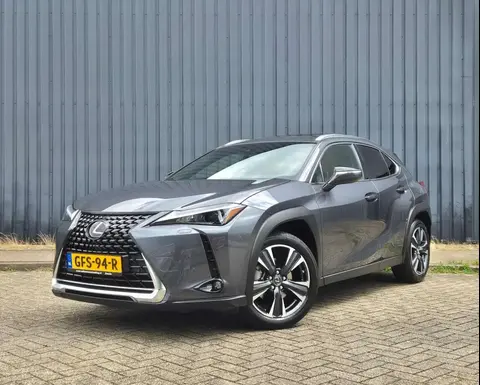 Annonce LEXUS UX Hybride 2023 d'occasion 