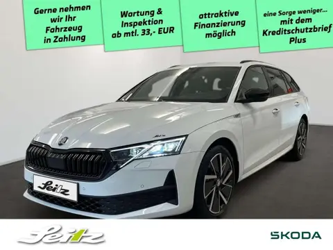 Annonce SKODA OCTAVIA Essence 2024 d'occasion 