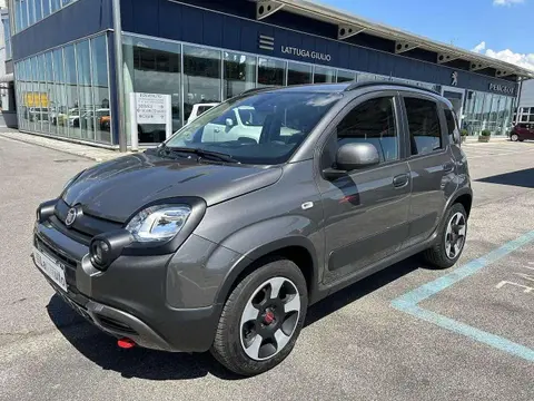 Used FIAT PANDA Petrol 2023 Ad 