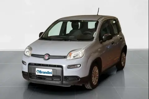 Used FIAT PANDA Hybrid 2024 Ad 