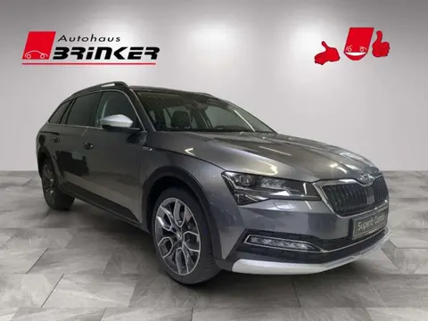 Used SKODA SUPERB Diesel 2024 Ad 