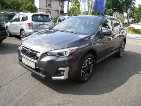 Annonce SUBARU XV Hybride 2021 d'occasion 