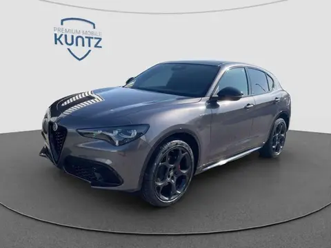 Annonce ALFA ROMEO STELVIO Diesel 2024 d'occasion 