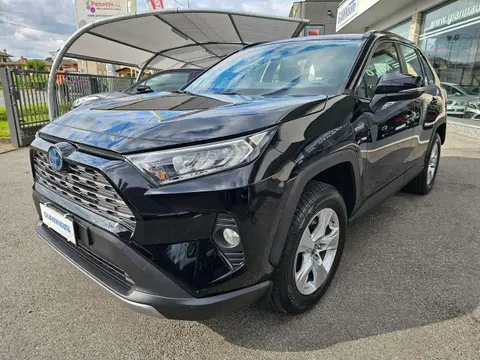 Used TOYOTA RAV4 Hybrid 2021 Ad 