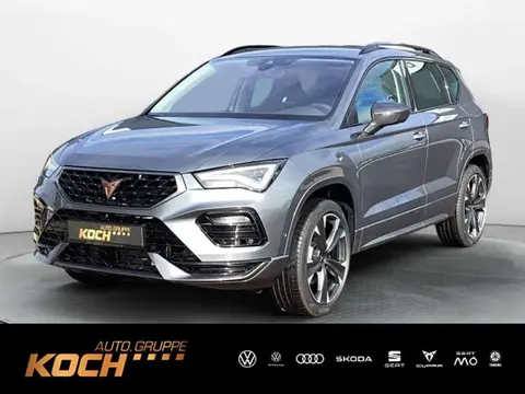 Annonce CUPRA ATECA Essence 2024 d'occasion 