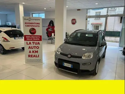 Used FIAT PANDA  2022 Ad 