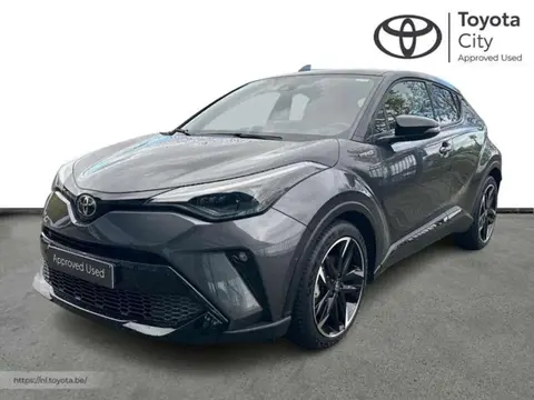 Used TOYOTA C-HR Hybrid 2022 Ad 