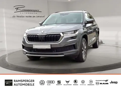 Used SKODA KODIAQ Diesel 2023 Ad 