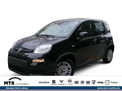 Annonce FIAT PANDA Essence 2024 d'occasion 