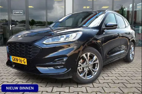 Annonce FORD KUGA Hybride 2020 d'occasion 