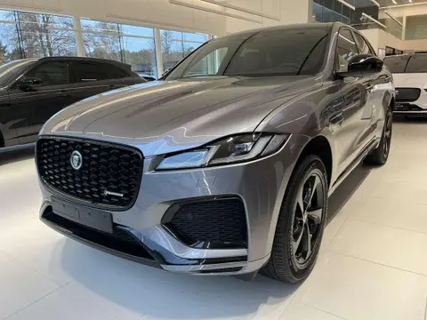 Used JAGUAR F-PACE Hybrid 2024 Ad 