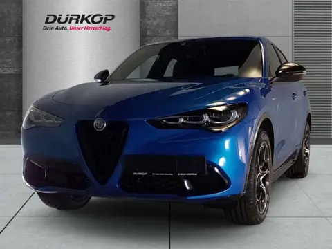 Annonce ALFA ROMEO STELVIO Essence 2024 d'occasion 