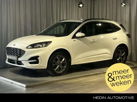 Annonce FORD KUGA Hybride 2023 d'occasion 