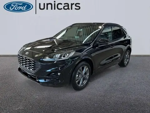 Used FORD KUGA Petrol 2024 Ad 