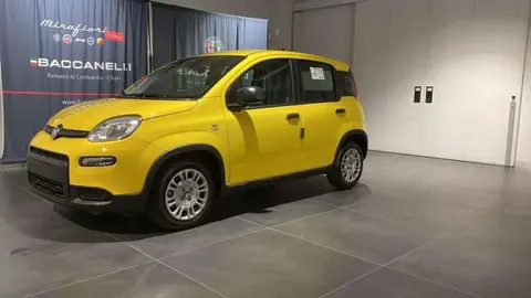 Annonce FIAT PANDA Hybride 2024 d'occasion 