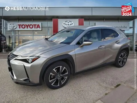 Annonce LEXUS UX  2020 d'occasion 