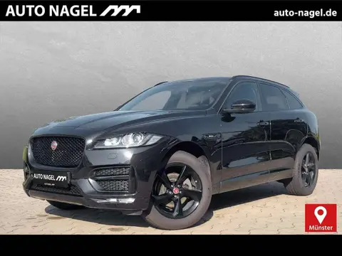 Used JAGUAR F-PACE Diesel 2017 Ad 