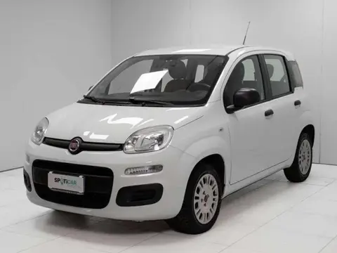 Annonce FIAT PANDA Essence 2016 d'occasion 