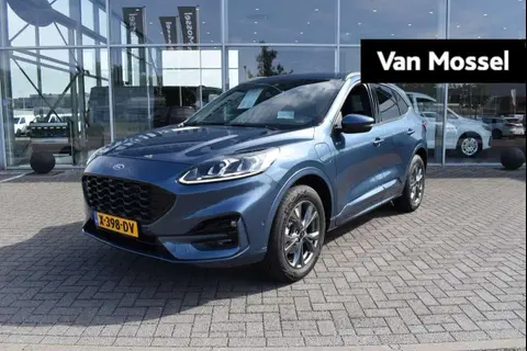 Used FORD KUGA Hybrid 2023 Ad 