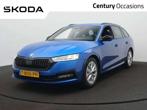 Used SKODA OCTAVIA Petrol 2023 Ad 