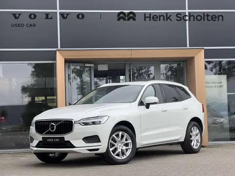 Used VOLVO XC60 Diesel 2019 Ad 