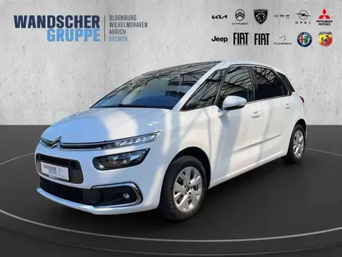 Used CITROEN C4 Diesel 2019 Ad 