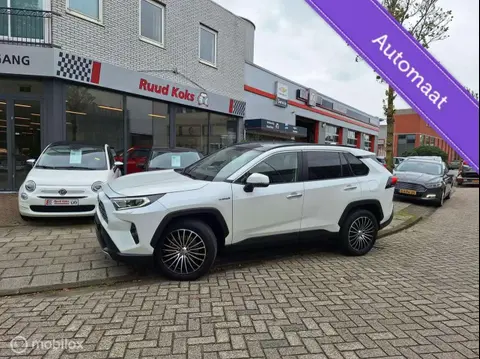 Used TOYOTA RAV4 Hybrid 2020 Ad 