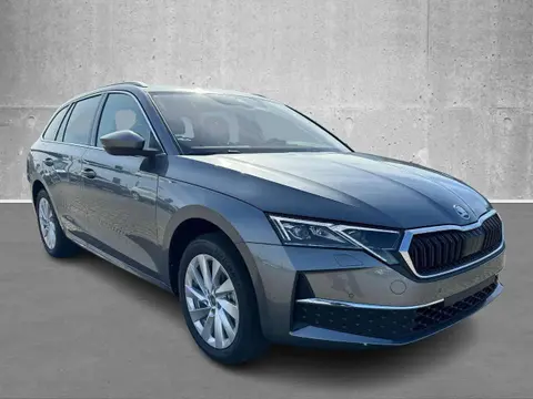 Annonce SKODA OCTAVIA Essence 2024 d'occasion 