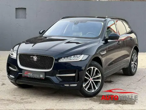 Used JAGUAR F-PACE Petrol 2019 Ad 