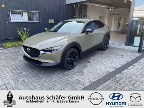 Annonce MAZDA CX-30 Essence 2024 d'occasion 