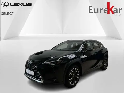 Used LEXUS UX Hybrid 2022 Ad 