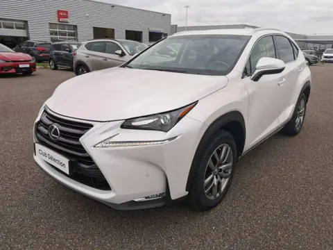 Annonce LEXUS NX  2017 d'occasion 