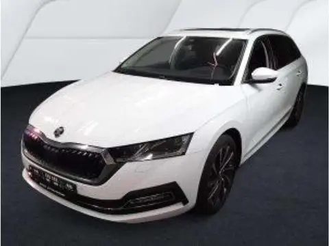 Annonce SKODA OCTAVIA Essence 2024 d'occasion 