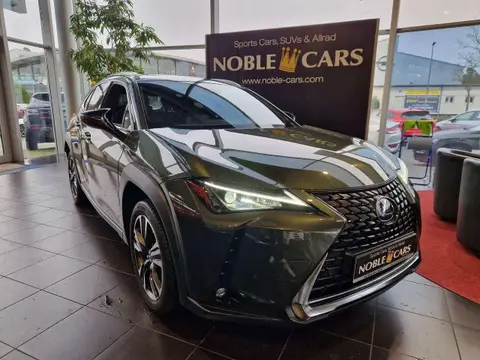 Used LEXUS UX Hybrid 2021 Ad 