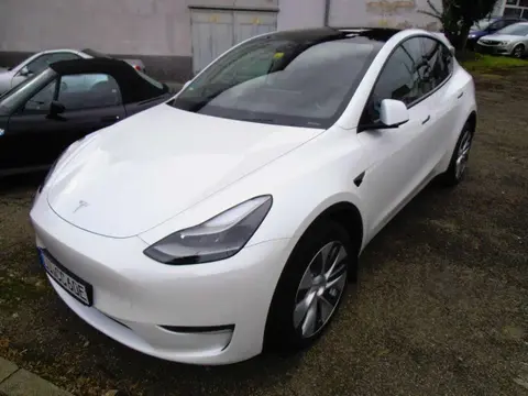 Used TESLA MODEL Y Electric 2023 Ad 