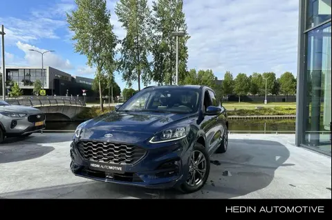 Used FORD KUGA Hybrid 2023 Ad 