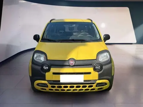 Used FIAT PANDA Hybrid 2021 Ad 