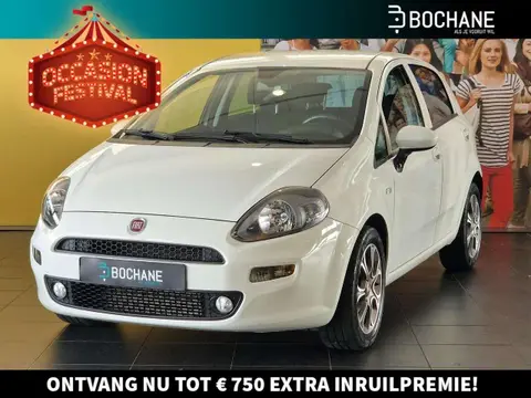 Annonce FIAT PUNTO Essence 2018 d'occasion 