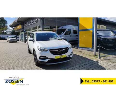 Used OPEL GRANDLAND Petrol 2019 Ad 