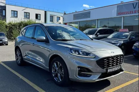 Annonce FORD KUGA Hybride 2022 d'occasion 