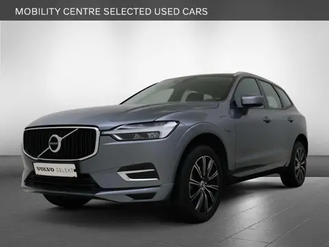 Used VOLVO XC60 Hybrid 2018 Ad 