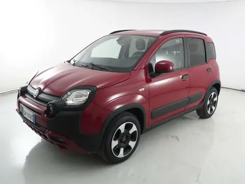 Annonce FIAT PANDA Hybride 2023 d'occasion 