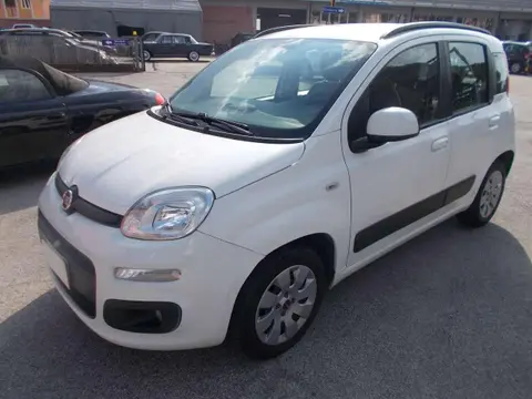 Used FIAT PANDA Petrol 2015 Ad 