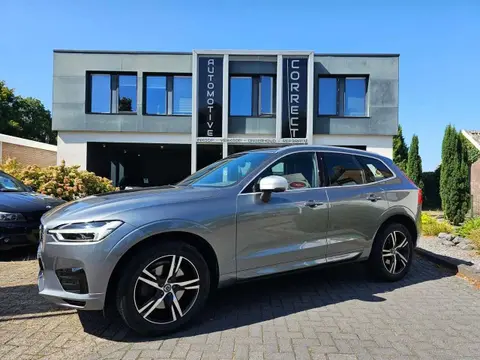 Used VOLVO XC60 Petrol 2019 Ad 