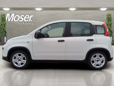 Annonce FIAT PANDA Hybride 2024 d'occasion 