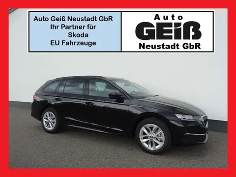 Used SKODA OCTAVIA Petrol 2024 Ad 