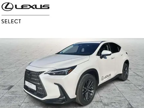 Annonce LEXUS NX Hybride 2022 d'occasion 